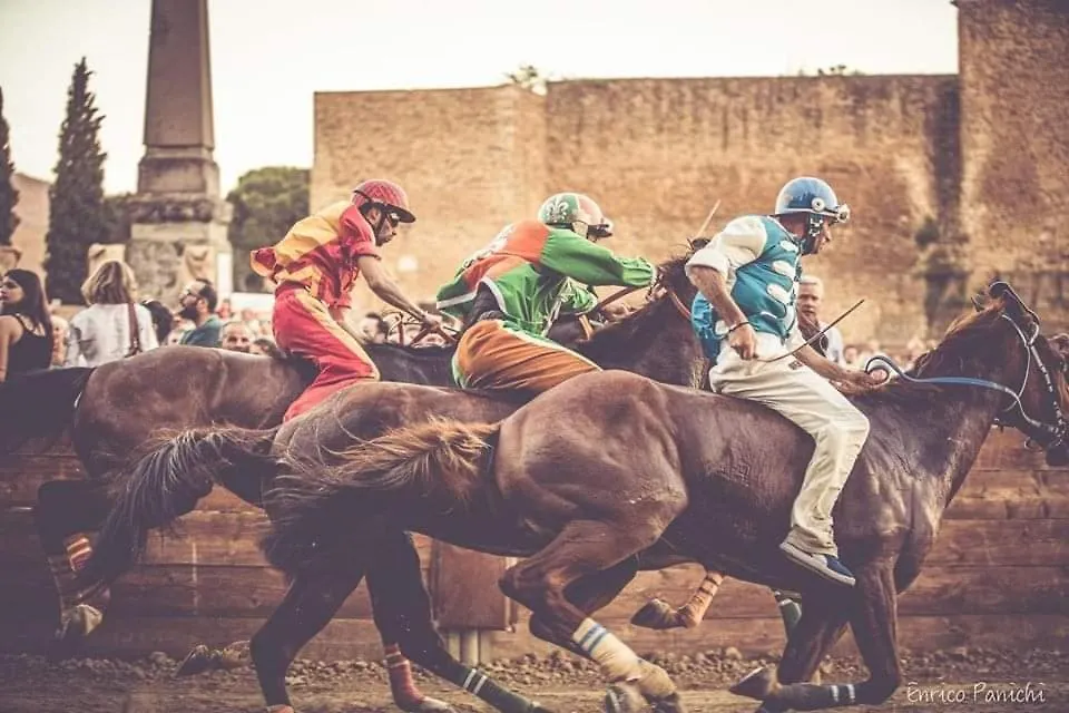 Il Trottapiano Home Castiglion Fiorentino 0*,  Italy