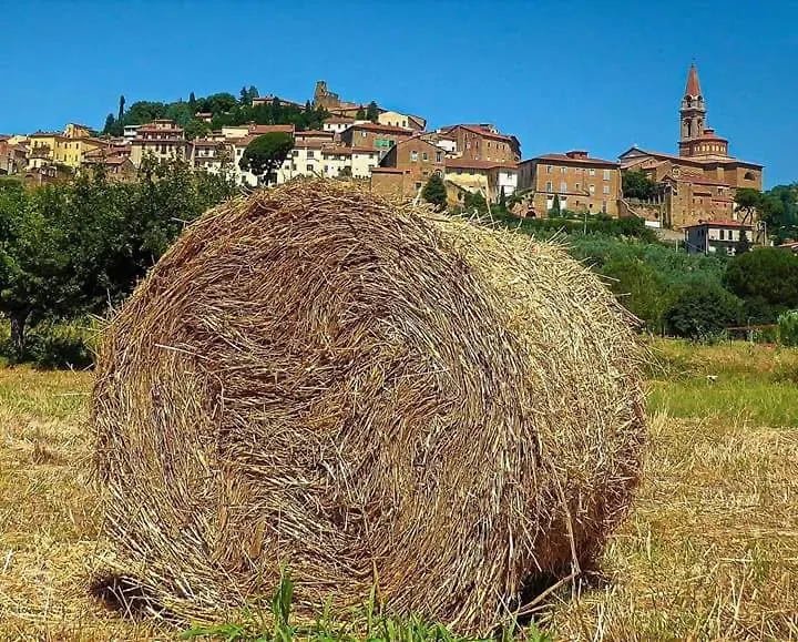 Il Trottapiano Home Castiglion Fiorentino